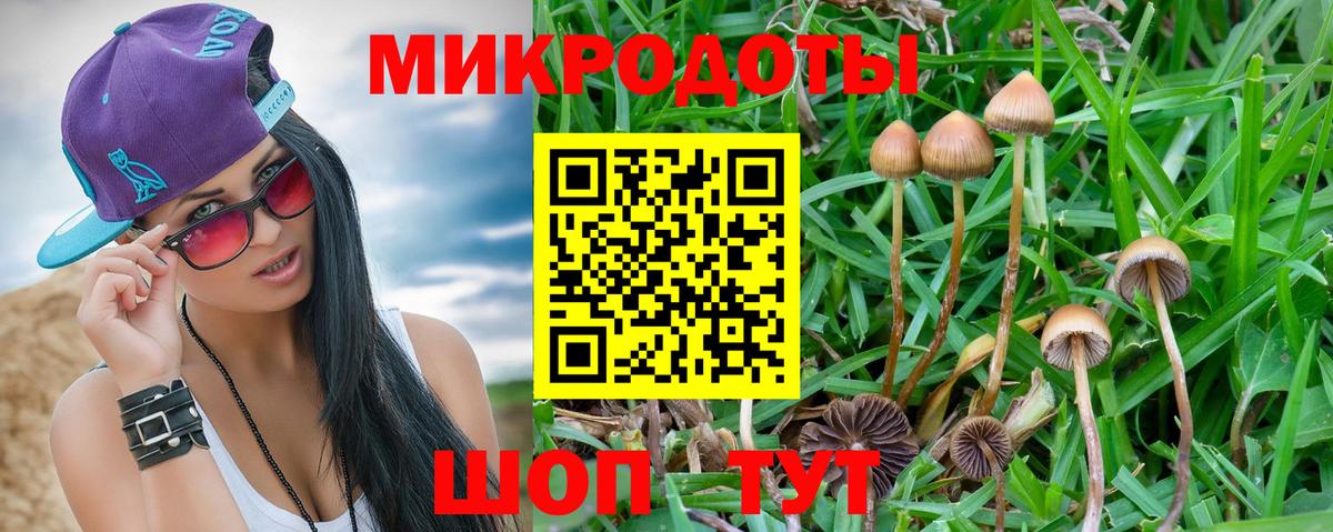 Псилоцибиновые грибы Psilocybe  Галлюциногенные грибы Magic Shrooms  Серов  Вход с VPN 